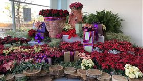 花博耶誕元旦活動(台中市政府)