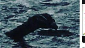 蘇格蘭,尼斯湖水怪,導遊,怪物（圖／翻攝自太陽報）