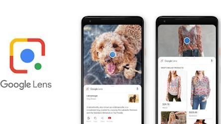 Google Lens愈來愈準了！
