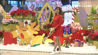 主播逛花博超驚喜！憑發票還可抽機票