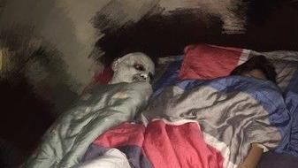 睡醒見「喪屍頭」狠盯　女譙：雞X人
