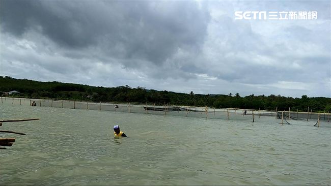 龍蝦台商直擊海嘯瞬間　曝逃死過程
