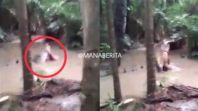 鱷魚啃食小學生　咬腳踝甩起砸落水潭