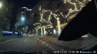 晚間開車驚見人趴路上　嚇得閃尿收驚