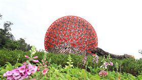 花博熱門打卡點（圖／台中市政府提供）