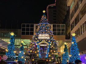 香港,聖誕節。（圖／記者馮珮汶攝）