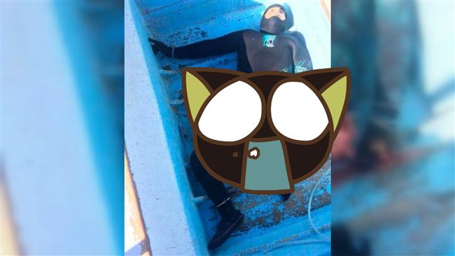 男子潛水遭鯊魚襲擊　整組生殖被咬掉