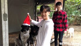 林隆璇之子林亭翰與周書彥兩人將聖誕前夕流給浪浪們。（圖／青田音樂）