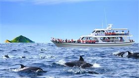 經典小鎮,票選,結果,觀光局,宜蘭縣,龜山島,／宜蘭縣賞鯨推廣協會提供