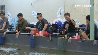 一台斤6百元起跳！鱘龍魚上鉤秘訣曝