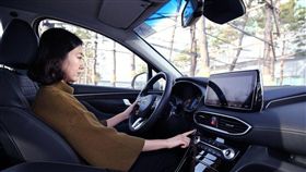 Hyundai Santa Fe(圖/翻攝網路)