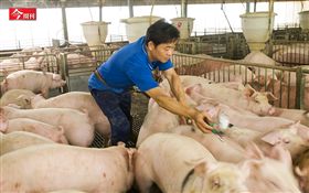 因版權問題，名家圖請勿使用，謝謝。(圖片來源:今周刊)