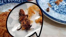 網友吃肉鬆驚見整隻觸角蜜蜂，引起網友熱議。（圖／翻攝爆怨公社）