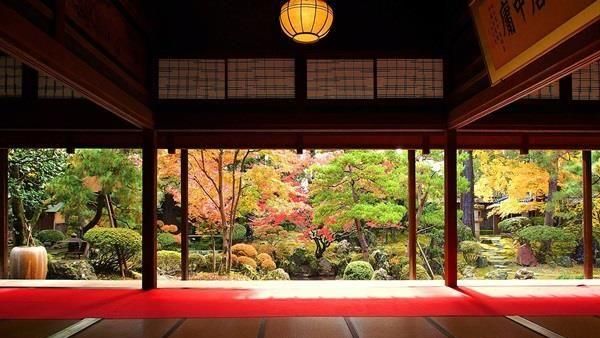 想遠離塵囂嗎？日本新潟行程大解析