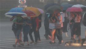 北北基豪雨特報　行人雨中低頭前行對流雲系發展旺盛，由於雨勢加劇，中央氣象局8日下午將北北基等地的大雨特報提升為豪雨特報。台北街頭午後烏雲密布，降下傾盆大雨，行人雨中撐傘低頭前行。中央社記者張新偉攝　107年9月8日