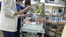 花蓮,新生兒,送醫,紅斑馬