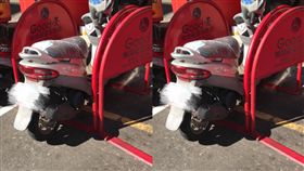 都給你停就好了呀！　無障礙路橋成專屬停車格(圖/爆廢公社)