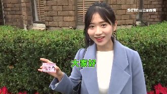 萌喊「我來了」！企鵝妹台灣宿舍曝光