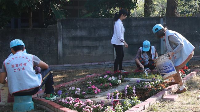 療癒花園加食農計畫　病患享種菜樂趣