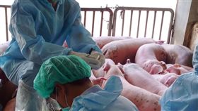 防非洲豬瘟  屏東縣農業處設應變中心依行政院長賴清德在非洲豬瘟演習上的指示，屏東縣政府農業處27日成立非洲豬瘟緊急應變中心。（屏東縣政府提供）中央社記者郭芷瑄傳真  107年12月27日