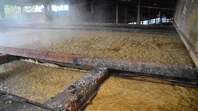 防非洲豬瘟疫情  新北業者：嚴守高溫蒸煮新北市養豬戶對非洲豬瘟嚴陣以待，市府農業局提供廚餘養豬戶紅外線測溫槍，嚴守高溫蒸煮的原則。中央社記者黃旭昇新北攝  107年12月26日