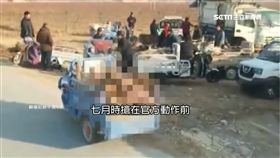 陸豬農七月就知疫情? 搶先賣光病豬流市面