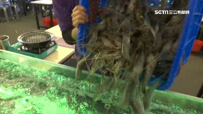 18米透明水道！泰流水蝦「吃到飽」