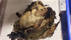 台籍旅客攜1.5公斤土雞肉返台　遭罰3萬一名台籍旅客28日晚間搭機從中國大陸上海返台入境，遭查獲攜帶重約1.5公斤土雞肉，被依違反動物傳染病防治條例規定，開罰新台幣3萬元。（關務署台北關提供）中央社記者邱俊欽桃園機場傳真　107年12月28日