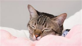 蔡英文在臉書呼籲民眾注意保暖　圖／翻攝自蔡英文臉書