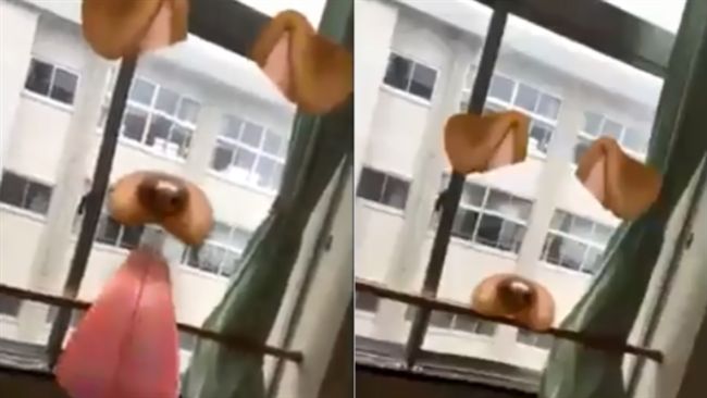 拍照軟體鬧鬼？特效對鏡頭詭異舔舌