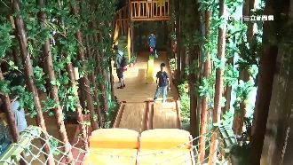 連假去哪裡？駁二原木展覽放電好去處