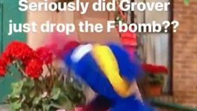芝麻街,兒童,節目,髒話,Grover,Rosita,對話　圖／翻攝自推特　