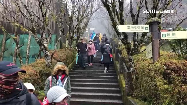 東部景點湧人潮！太平山逾5千人入園
