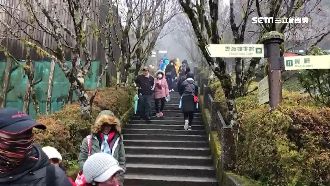 東部景點湧人潮！太平山逾5千人入園