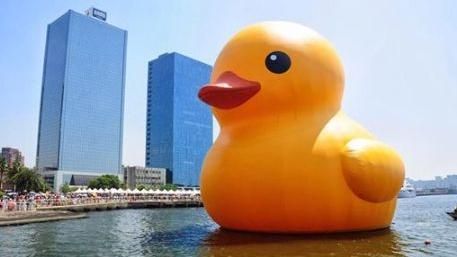 貼「黃色小鴨」　高雄想辦「這」比賽