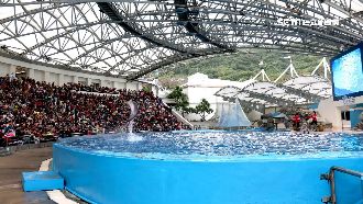 東部湧人潮！海洋公園入園人數創新高