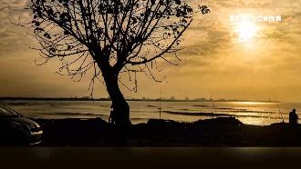 韓國瑜林園迎曙光　「日出之樹」爆紅