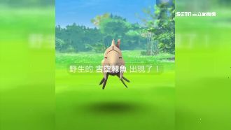 高雄燈會能抓寶？官方打臉：沒有的事