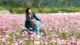 暖冬遊之花蓮。記者唐家興攝影