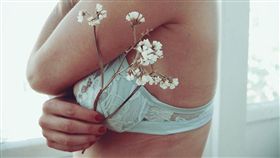 胸部、內衣、乳房示意圖／pixabay