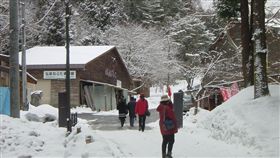 日本。記者唐家興攝影