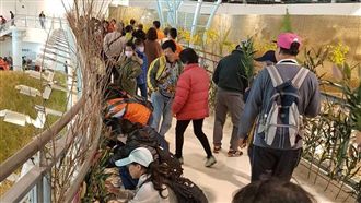 花博外埔花の許願橋　周未邀民眾插花