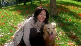 高雄,鳳飛飛,觀光局,鳳飛飛日（圖／翻攝自鳳飛飛紀念專輯 - 懷念我唯一的偶像臉書）