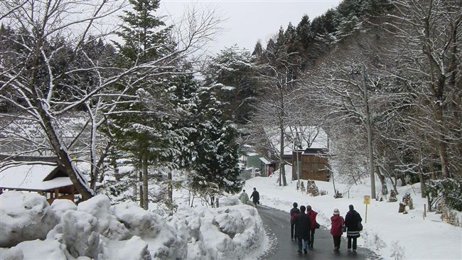 日本出國稅開徵！7日起旅日機票變貴