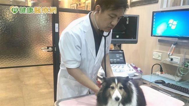 電腦斷層揪病灶　毛小孩也能精準醫療