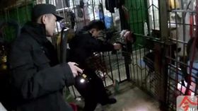 藏獒被母狗逗到狂躁　飼主慘被咬找警斃了牠／南國早報