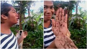 菲律賓,蚊子,召喚,蚊子話(圖/翻攝自Live Leak)