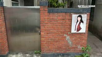 「鳳飛飛日」惹議　大溪人怒轟高市府