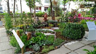 花博葫蘆墩園區　水景式庭園競賽接檔