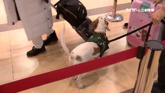 金門禁攜豬肉品至台灣　最高開罰百萬